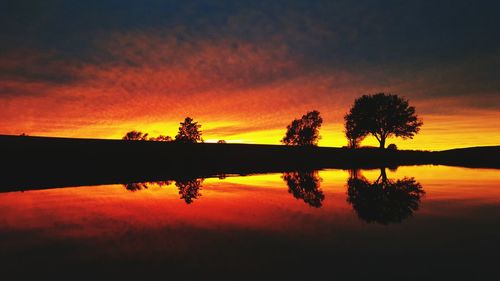 Silhouette of trees at sunset