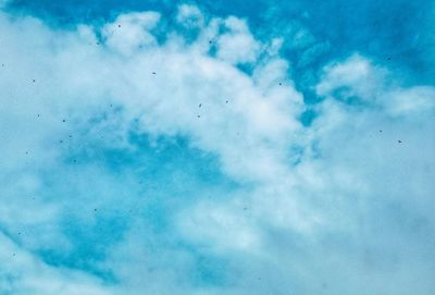 Low angle view of birds flying in sky