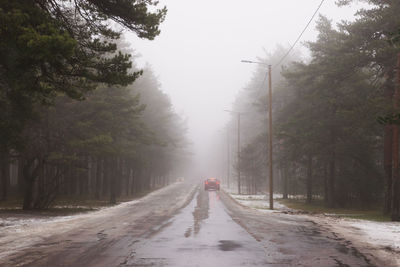 Road amidst trees in forest during winter