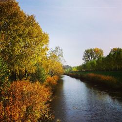 Scenic view of lake by trees against sky