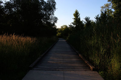 Boardwalk amidst trees on field against sky