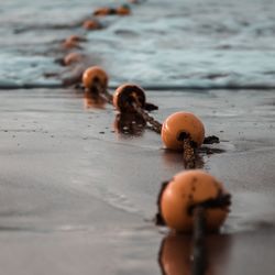 Close-up of netting on beach