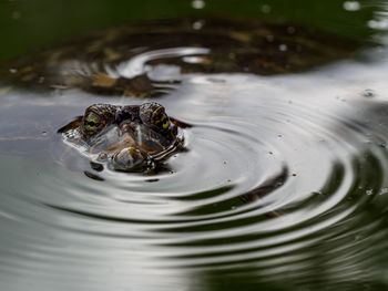 Close-up of rippled water