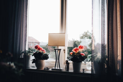 Portrait of woman using mobile phone while standing by window