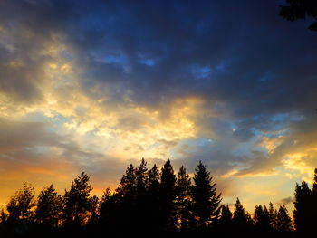 Silhouette trees against sky at sunset