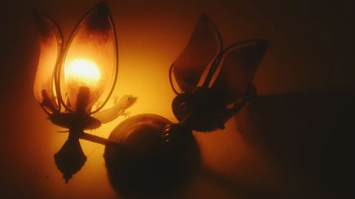 Close-up of flowers