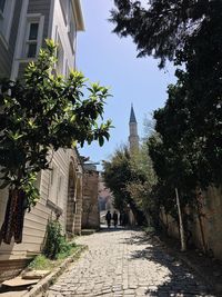 Trees growing outside temple against sky