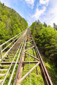 Railroad tracks amidst trees in forest against sky