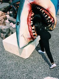 Woman and dead shark