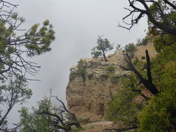 Low angle view of rocks and trees against sky
