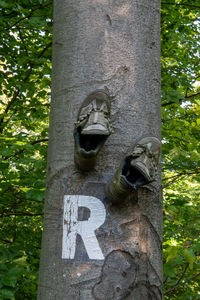 Low angle view of text on tree trunk