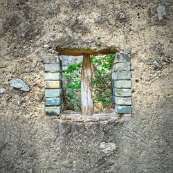 Brick wall with brick wall