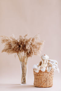 Close-up of plant against white background