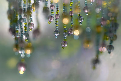 Close-up of water drops on glass