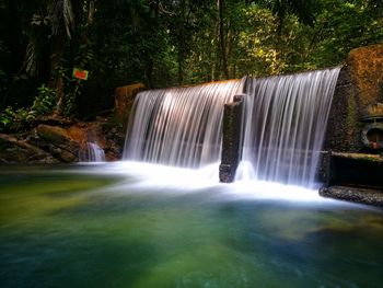 Scenic view of waterfall in forest