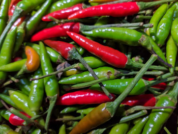 Close-up of red chili peppers