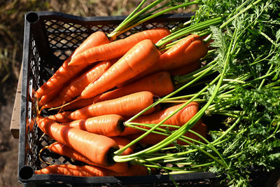 High angle view of vegetables for sale