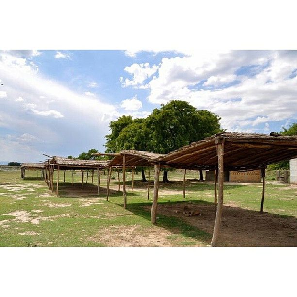 sky, transfer print, grass, tree, cloud - sky, built structure, auto post production filter, tranquility, wood - material, tranquil scene, cloud, nature, architecture, bench, scenics, day, field, railing, green color, outdoors