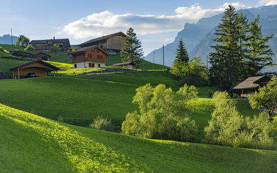 Scenic view of field by houses and trees against sky