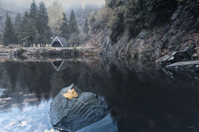 Scenic view of river amidst trees against mountains