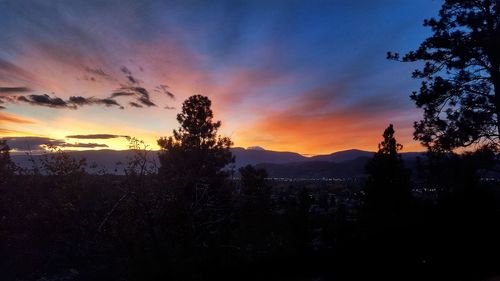 Silhouette trees against sky during sunset