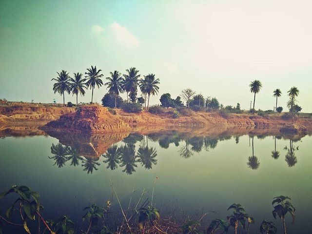 water, palm tree, tranquility, tranquil scene, reflection, tree, sky, scenics, beauty in nature, nature, lake, growth, beach, idyllic, standing water, calm, sea, outdoors, non-urban scene, plant