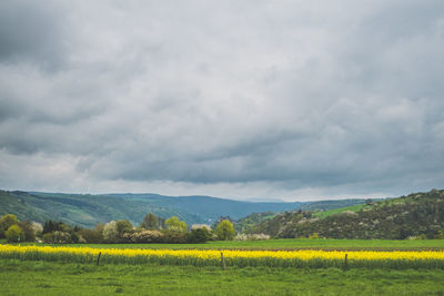 Scenic view of field against cloudy sky