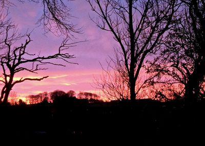 Silhouette of bare tree against dramatic sky