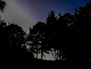 Low angle view of silhouette trees against sky at sunset