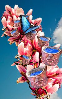 Close-up of pink flowering plant against blue sky