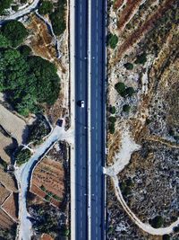 High angle view of trees by road