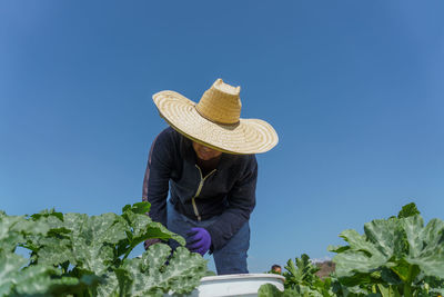 Low angle view of farmer working at farm