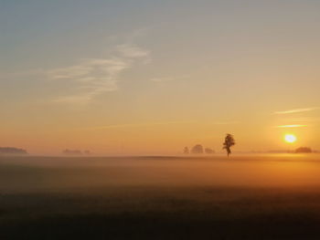 Silhouette trees on field against sky during sunset