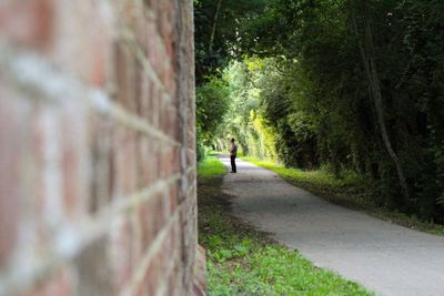 Man walking on road amidst trees