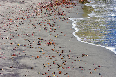 High angle view of beach