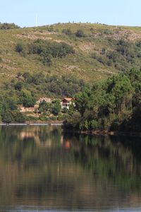 Scenic view of lake by trees against sky