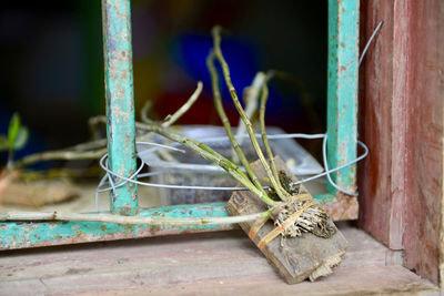 Close-up of rope tied up on rusty metal