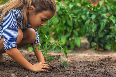 Cute girl planting seedling