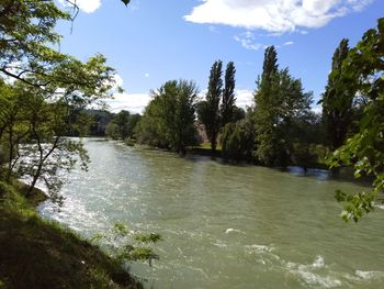 Scenic view of river amidst trees against sky