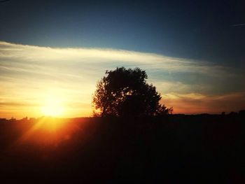 Silhouette of trees at sunset