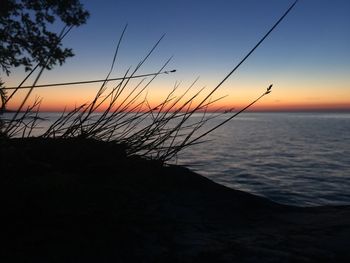 Scenic view of sea at sunset