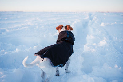 Rear view of person with dog during winter