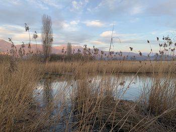 Scenic view of lake against sky