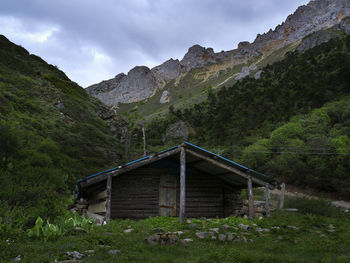 mountain