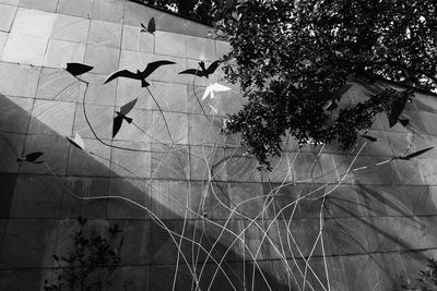 Close-up of birds on tree against sky