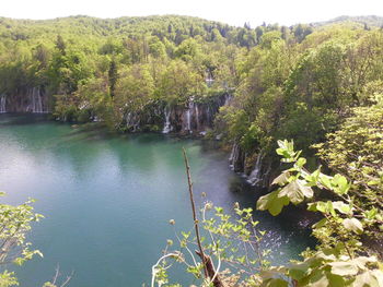 Reflection of trees in lake