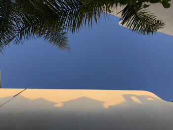 Low angle view of palm tree against clear blue sky