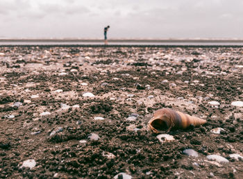 Close-up of abandoned sand on beach against sky