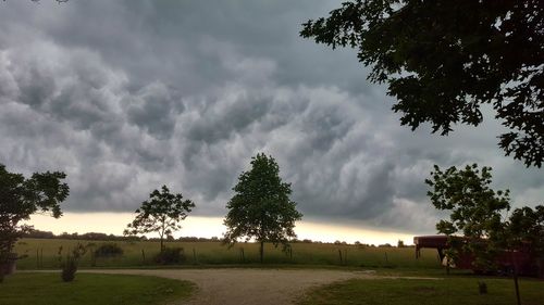 Trees on field against cloudy sky