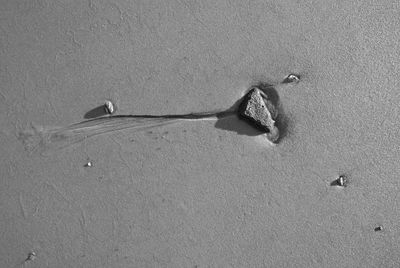 Close-up of sand on beach